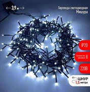 ЭРА ENIN - GC Гирлянда LED Нить Мишура 3,9 м зеленый провод, холодный свет, 220V (24/576) Б0047969 ЭРА ENIN - GC Гирлянда LED Нить Мишура 3,9 м зеленый провод, холодный свет, 220V (24/576) Б0047969