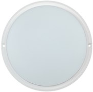 IEK Светильник LED ДПО 4003 15Вт IP54 4000K круг белый LDPO0-4003-15-4000-K01 IEK Светильник LED ДПО 4003 15Вт IP54 4000K круг белый LDPO0-4003-15-4000-K01