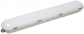 IEK LIGHTING PRO Светильник ДСП 1424 20Вт 4000К IP65 600мм LDSP0-1424-20-4000-K01 IEK LIGHTING PRO Светильник ДСП 1424 20Вт 4000К IP65 600мм LDSP0-1424-20-4000-K01