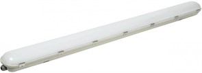 IEK LIGHTING PRO Светильник ДСП 1422 40Вт 6500К IP65 1200мм LDSP0-1422-40-6500-K01 IEK LIGHTING PRO Светильник ДСП 1422 40Вт 6500К IP65 1200мм LDSP0-1422-40-6500-K01