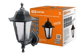 TDM Светильник садово-парковый НБУ 06-60-001 шестигранник, настенный, пластик, расс.пластик, серебро SQ0330-0791