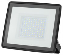 ЭРА Прожектор светодиодный уличный LPR-023-0-65K-100 100Вт 6500K 8000Лм 185х176х37 Б0052026