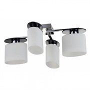 Freya Modern Bice Хром Потолочный светильник E14 40W FR5101-CL-04-CN