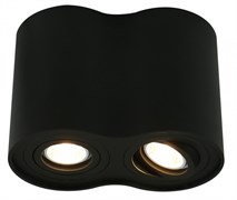 Arte Lamp FALCON Потолочные светильники A5644PL-2BK A5644PL-2BK