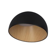 LOFT IT 10197/350 Black Потолочные светильники Egg, шт 10197/350 Black