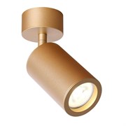 Favourite 2802-1U Angularis Потолочный светильник D60*H175, 1*GU10*35W, excluded 2802-1U