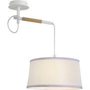 F-promo Eureka 3005-1P, настенно-потолочный светильник, D300xH600, 1xE27x60W 3005-1P