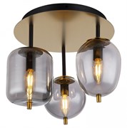 Lussole LOFT Потолочный светильник металл бронзовый LSP-8730