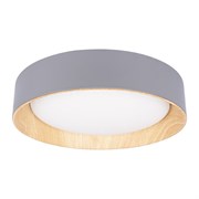 LOFT IT 10202 Grey Потолочный светильник Coin 10202 Grey