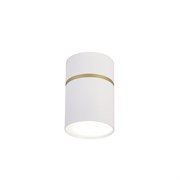 Favourite Потолочный светильник Dunia D68*H100 1*GU10LED*10W, IP20, excluded 3067-1C 3067-1C