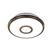 Citilux Светильник потолочный светодиодный СтарЛай CL70313 CL70313