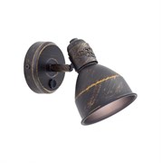 Citilux CL502512 Опус Кофейный Светильник Настенно-потолочный CL502512