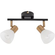 Arte Lamp A3117PL-2BK FALENA Светильник-спот потолочный A3117PL-2BK