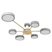 LOFT IT 10316/6 Grey Потолочный светильник Sunrise 10316/6 Grey