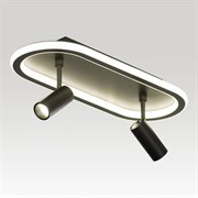 Потолочный светильник черный LSP-7282