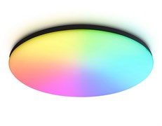 Ambrella Потолочный светодиодный светильник с Wi-Fi Яндекс Алисой/Tuya/Smart Home/Alexa FZ2006 BK черный IP54 30W 3000K-6500K+RGB D450*60 (ПДУ ИК) FZ2006