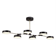 Evoluce SLE6004-402-06 светильник потолочный чёрный / чёрный LED 6*10W SLE6004-402-06