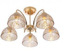 Rivoli Люстра Terri 9172-305 5 х Е27 40 Вт модерн Б0060989