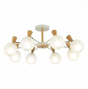 Evoluce SLE220702-08 люстра потолочная белый, светлое дерево/Белый E14 8*40W SLE220702-08