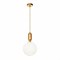 LOFT IT 9974-B Светильник подвесной 1xE27 max 40W 9974-B, шт 9974-B - фото 100024