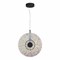 ST LUCE SL6142.423.01 Светильник подвесной черный/радужный LED 1*8W 4000K SL6142.423.01 - фото 100203