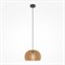 Maytoni Roots Подвесной светильник Черный MOD195PL-01W - фото 100353 Maytoni Roots Подвесной светильник Черный MOD195PL-01W - фото 100353