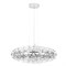 LOFT IT 1898/1000 Chrome Подвесной светильник Raimond, шт 1898/1000 Chrome - фото 100514 LOFT IT 1898/1000 Chrome Подвесной светильник Raimond, шт 1898/1000 Chrome - фото 100514