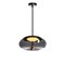 LOFT IT 8134-D Светильник подвесной 1xLED 5W 8134-D , шт 8134-D - фото 100743 LOFT IT 8134-D Светильник подвесной 1xLED 5W 8134-D , шт 8134-D - фото 100743