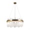 Freya Modern Латунь Подвесной светильник FR5141PL-10BS - фото 100746 Freya Modern Латунь Подвесной светильник FR5141PL-10BS - фото 100746