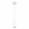 ST Luce ST600.533.10 Светильник подвесной Zoom Белый LED 1*10W 3000K 1 000Lm Ra>80 15-60° IP20 D59xH130 170-240VV ST600.533.10 - фото 101130 ST Luce ST600.533.10 Светильник подвесной Zoom Белый LED 1*10W 3000K 1 000Lm Ra>80 15-60° IP20 D59xH130 170-240VV ST600.533.10 - фото 101130