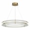 ST LUCE SL6245.203.01 Светильник подвесной золотистый/Прозрачный LED 1*40W 4000K SL6245.203.01 - фото 101158 ST LUCE SL6245.203.01 Светильник подвесной золотистый/Прозрачный LED 1*40W 4000K SL6245.203.01 - фото 101158