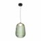 Freya FR5384PL-L13GN Enchantment Подвесной светильник Матовый Черный FR5384PL-L13GN - фото 101328