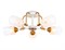 Ambrella Светильник подвесной TR303323/5 WH/GD/CL/FR белый/золото/прозрачный/белый матовый E27*5 max 60W D620*200 TR303323 - фото 101693 Ambrella Светильник подвесной TR303323/5 WH/GD/CL/FR белый/золото/прозрачный/белый матовый E27*5 max 60W D620*200 TR303323 - фото 101693