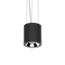 Varton Светодиодный светильник DL-02 Tube подвесной 100х110 мм 12 Вт 4000 K 35°  RAL9005 черный муар диммируемый по протоколу DALI V1-R0-90113-30D01-2001240 - фото 102300