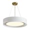 Freya Cozy Подвесной светильник FR6170PL-L52BS FR6170PL-L52BS - фото 102660 Freya Cozy Подвесной светильник FR6170PL-L52BS FR6170PL-L52BS - фото 102660