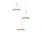 Ambrella Подвесной светильник TR3167/3 WH/BK белый/черный E27/3 max 60W D360*1000 TR3167 - фото 102759