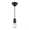 Citilux Подвесной светильник Эдисон CL450200 CL450200 - фото 102978