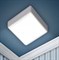 ЭРА Светильник светодиодный ЭРА LED 16-18-6K накладной квадратный 18Вт 6500К Б0054339 - фото 103570