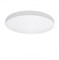 Lightstar Светильник накладной заливающего света со встроенными светодиодами Arco Lightstar 225264 225264 - фото 104089