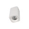 LOFT IT 10329 White Накладной светильник Cup 10329 White - фото 104841