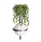 LOFT IT 10121W/B Dark grey Настенный светильник Jardin 10121W/B Dark grey - фото 105540 LOFT IT 10121W/B Dark grey Настенный светильник Jardin 10121W/B Dark grey - фото 105540