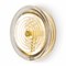 Freya Borbon Настенный светильник (бра) Латунь FR5442WL-L7TR - фото 106097 Freya Borbon Настенный светильник (бра) Латунь FR5442WL-L7TR - фото 106097