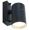 Arte Lamp A3302AL-1GY Sonaglio Уличный настенный светильник A3302AL-1GY - фото 106133 Arte Lamp A3302AL-1GY Sonaglio Уличный настенный светильник A3302AL-1GY - фото 106133