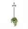 LOFT IT 10121W/B Настенный светильник Jardin, шт 10121W/B - фото 106378 LOFT IT 10121W/B Настенный светильник Jardin, шт 10121W/B - фото 106378
