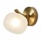 Freya Donuts Настенный светильник (бра) Латунь FR5444WL-01BS - фото 106401 Freya Donuts Настенный светильник (бра) Латунь FR5444WL-01BS - фото 106401