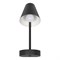 LOFT IT 10216/1W Black Настенный светильник Shelf 10216/1W Black - фото 106600 LOFT IT 10216/1W Black Настенный светильник Shelf 10216/1W Black - фото 106600