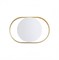 Odeon Light 4246/7WW HIGHTECH ODL21 179 бел/золотист/металл Настенный светильник IP20 LED 7W 560Лм 3000K MONDY 4246/7WW - фото 106936 Odeon Light 4246/7WW HIGHTECH ODL21 179 бел/золотист/металл Настенный светильник IP20 LED 7W 560Лм 3000K MONDY 4246/7WW - фото 106936