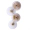 Arte Lamp A1258AP-4PB СВЕТИЛЬНИК НАСТЕННЫЙ A1258AP-4PB - фото 107131 Arte Lamp A1258AP-4PB СВЕТИЛЬНИК НАСТЕННЫЙ A1258AP-4PB - фото 107131