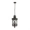 Odeon Light 4045/3 ODL18 708 черный/золотая патина Уличный светильник-подвес IP44 E14 3*60W 220V SATION 4045/3 - фото 108869