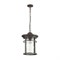 Odeon Light 4044/1 ODL18 719 черный/патина Уличный светильник-подвес IP44 E27 100W 220V VIRTA 4044/1 - фото 108908